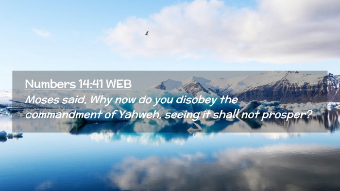 Picture 02 - Numbers 14:41 WEB Desktop Wallpaper - Moses said, Why now do you disobey the - Desktop Bible Verse Wallpaper