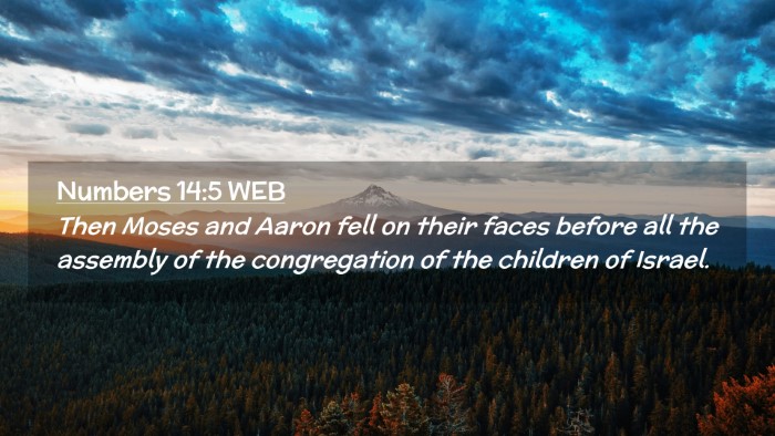 Picture 02 - Numbers 14:5 WEB Desktop Wallpaper - Then Moses and Aaron fell on their faces before - Desktop Bible Verse Wallpaper