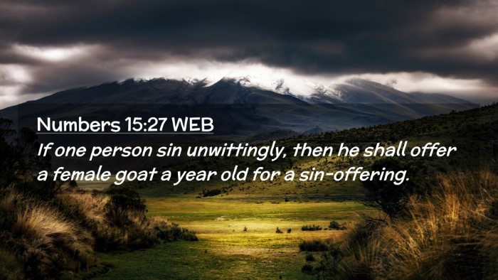 Picture 02 - Numbers 15:27 WEB Desktop Wallpaper - If one person sin unwittingly, then he shall - Desktop Bible Verse Wallpaper