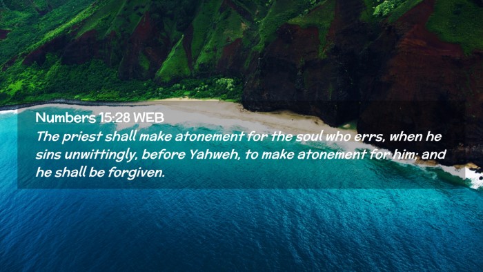 Picture 02 - Numbers 15:28 WEB Desktop Wallpaper - The priest shall make atonement for the soul who - Desktop Bible Verse Wallpaper