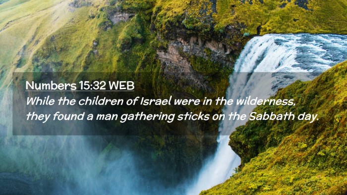Picture 02 - Numbers 15:32 WEB Desktop Wallpaper - While the children of Israel were in the - Desktop Bible Verse Wallpaper