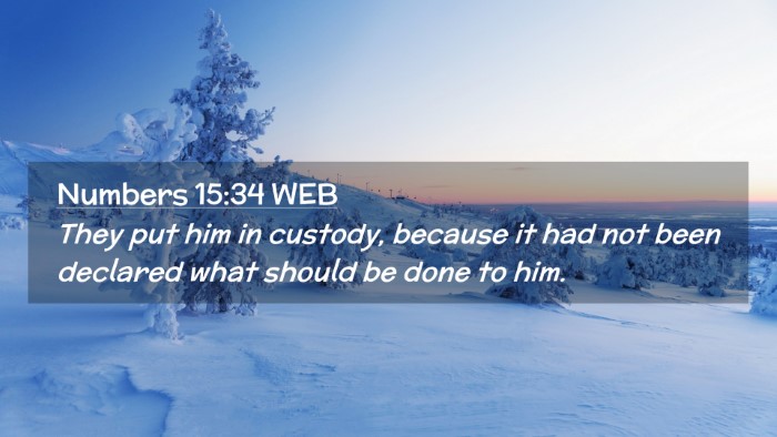 Picture 02 - Numbers 15:34 WEB Desktop Wallpaper - They put him in custody, because it had not been - Desktop Bible Verse Wallpaper