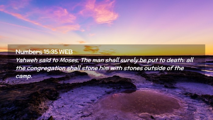 Picture 02 - Numbers 15:35 WEB Desktop Wallpaper - Yahweh said to Moses, The man shall surely be put - Desktop Bible Verse Wallpaper