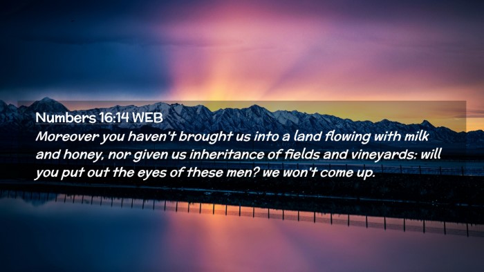 Picture 02 - Numbers 16:14 WEB Desktop Wallpaper - Moreover you haven't brought us into a land - Desktop Bible Verse Wallpaper