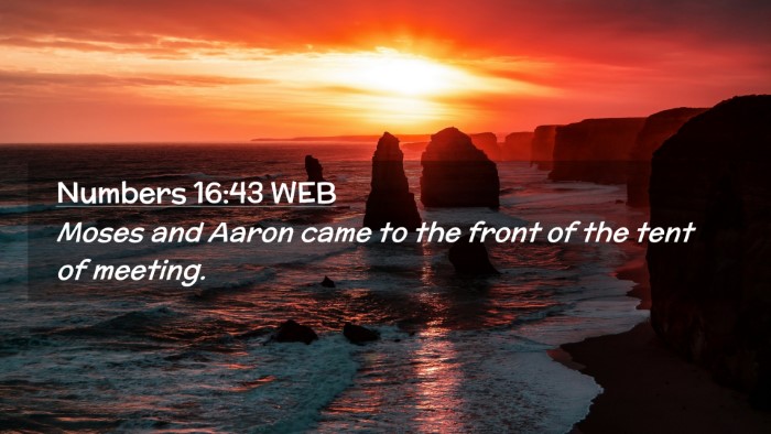 Picture 02 - Numbers 16:43 WEB Desktop Wallpaper - Moses and Aaron came to the front of the tent of - Desktop Bible Verse Wallpaper