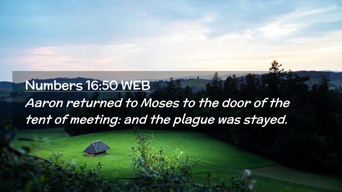 Picture 02 - Numbers 16:50 WEB Desktop Wallpaper - Aaron returned to Moses to the door of the tent - Desktop Bible Verse Wallpaper