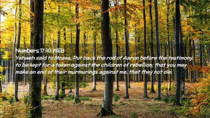 Picture 02 - Numbers 17:10 WEB Desktop Wallpaper - Yahweh said to Moses, Put back the rod of Aaron - Desktop Bible Verse Wallpaper