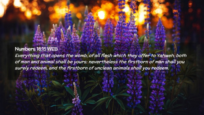 Picture 02 - Numbers 18:15 WEB Desktop Wallpaper - Everything that opens the womb, of all flesh - Desktop Bible Verse Wallpaper