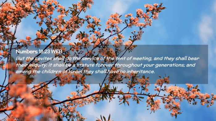 Picture 02 - Numbers 18:23 WEB Desktop Wallpaper - But the Levites shall do the service of the tent - Desktop Bible Verse Wallpaper