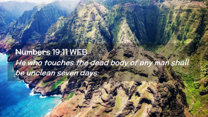 Picture 02 - Numbers 19:11 WEB Desktop Wallpaper - He who touches the dead body of any man shall be - Desktop Bible Verse Wallpaper