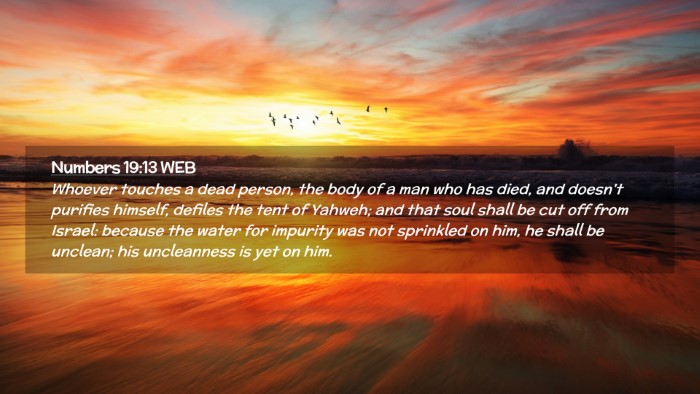 Picture 02 - Numbers 19:13 WEB Desktop Wallpaper - Whoever touches a dead person, the body of a man - Desktop Bible Verse Wallpaper