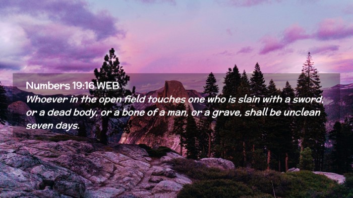 Picture 02 - Numbers 19:16 WEB Desktop Wallpaper - Whoever in the open field touches one who is - Desktop Bible Verse Wallpaper