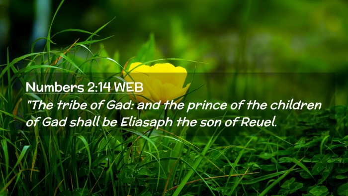 Picture 02 - Numbers 2:14 WEB Desktop Wallpaper - 