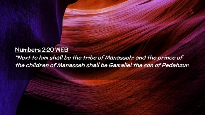 Picture 02 - Numbers 2:20 WEB Desktop Wallpaper - 