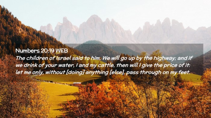 Picture 02 - Numbers 20:19 WEB Desktop Wallpaper - The children of Israel said to him, We will go up - Desktop Bible Verse Wallpaper