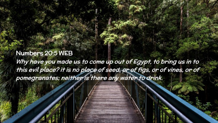 Picture 02 - Numbers 20:5 WEB Desktop Wallpaper - Why have you made us to come up out of Egypt, to - Desktop Bible Verse Wallpaper