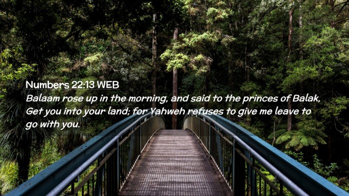 Picture 02 - Numbers 22:13 WEB Desktop Wallpaper - Balaam rose up in the morning, and said to the - Desktop Bible Verse Wallpaper