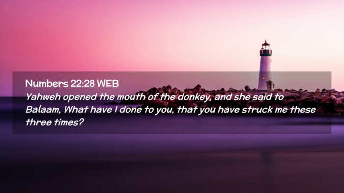Picture 02 - Numbers 22:28 WEB Desktop Wallpaper - Yahweh opened the mouth of the donkey, and she - Desktop Bible Verse Wallpaper