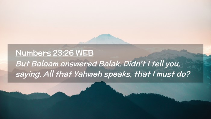 Picture 02 - Numbers 23:26 WEB Desktop Wallpaper - But Balaam answered Balak, Didn't I tell you, - Desktop Bible Verse Wallpaper