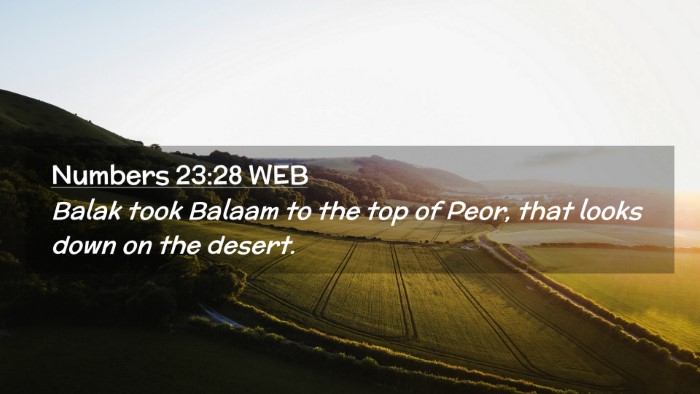 Picture 02 - Numbers 23:28 WEB Desktop Wallpaper - Balak took Balaam to the top of Peor, that looks - Desktop Bible Verse Wallpaper