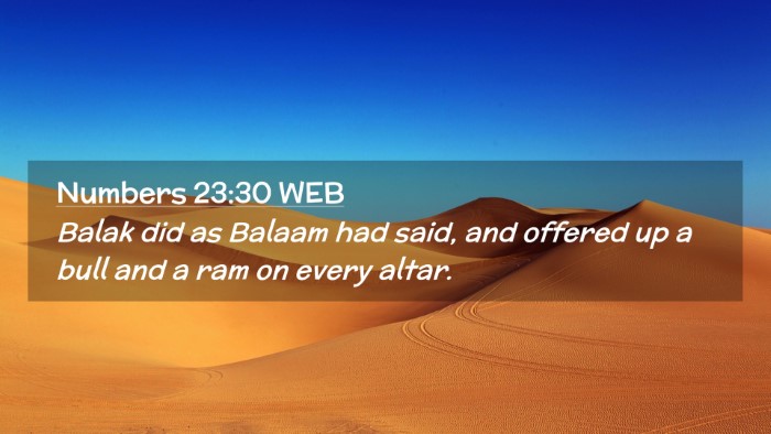 Picture 02 - Numbers 23:30 WEB Desktop Wallpaper - Balak did as Balaam had said, and offered up a - Desktop Bible Verse Wallpaper
