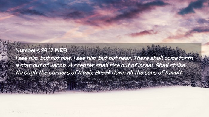 Picture 02 - Numbers 24:17 WEB Desktop Wallpaper - I see him, but not now; I see him, but not near: - Desktop Bible Verse Wallpaper