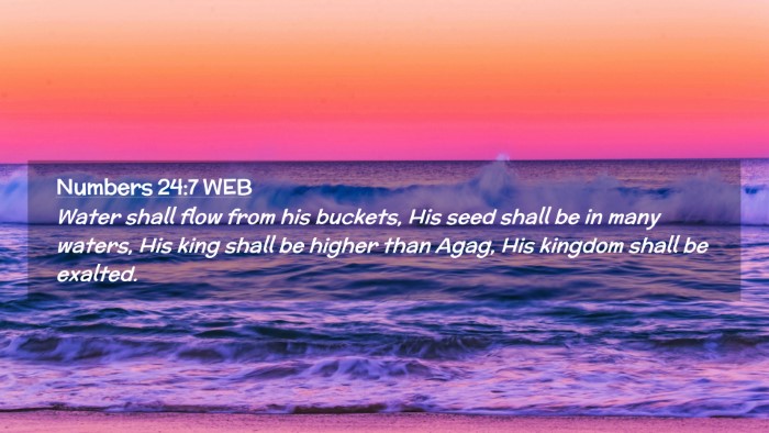 Picture 02 - Numbers 24:7 WEB Desktop Wallpaper - Water shall flow from his buckets, His seed shall - Desktop Bible Verse Wallpaper