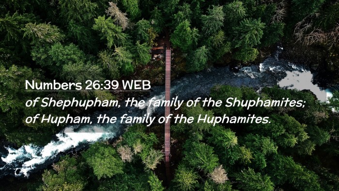 Picture 02 - Numbers 26:39 WEB Desktop Wallpaper - of Shephupham, the family of the Shuphamites; of - Desktop Bible Verse Wallpaper