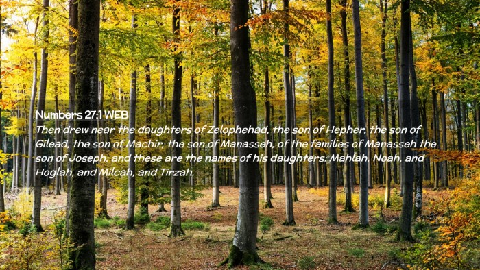 Picture 02 - Numbers 27:1 WEB Desktop Wallpaper - Then drew near the daughters of Zelophehad, the - Desktop Bible Verse Wallpaper