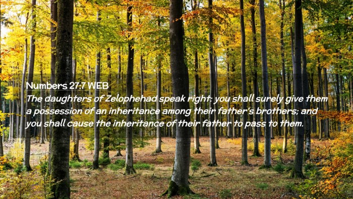 Picture 02 - Numbers 27:7 WEB Desktop Wallpaper - The daughters of Zelophehad speak right: you - Desktop Bible Verse Wallpaper