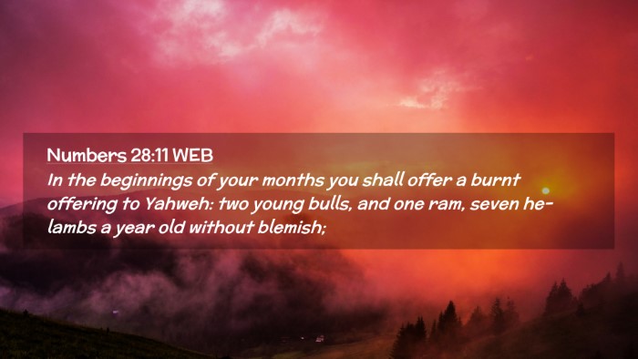 Picture 02 - Numbers 28:11 WEB Desktop Wallpaper - In the beginnings of your months you shall offer - Desktop Bible Verse Wallpaper