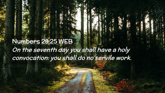 Picture 02 - Numbers 28:25 WEB Desktop Wallpaper - On the seventh day you shall have a holy - Desktop Bible Verse Wallpaper