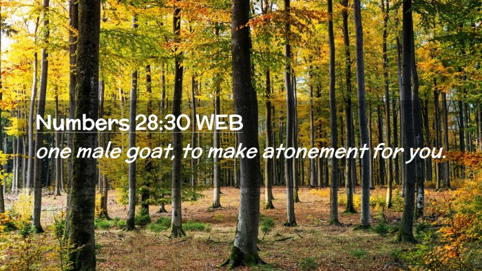 Picture 02 - Numbers 28:30 WEB Desktop Wallpaper - one male goat, to make atonement for - Desktop Bible Verse Wallpaper