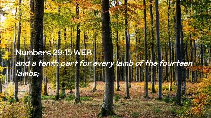 Picture 02 - Numbers 29:15 WEB Desktop Wallpaper - and a tenth part for every lamb of the fourteen - Desktop Bible Verse Wallpaper