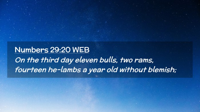Picture 02 - Numbers 29:20 WEB Desktop Wallpaper - On the third day eleven bulls, two rams, fourteen - Desktop Bible Verse Wallpaper