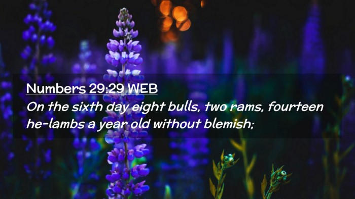 Picture 02 - Numbers 29:29 WEB Desktop Wallpaper - On the sixth day eight bulls, two rams, fourteen - Desktop Bible Verse Wallpaper