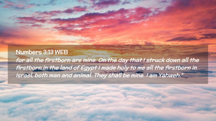 Picture 02 - Numbers 3:13 WEB Desktop Wallpaper - for all the firstborn are mine. On the day that I - Desktop Bible Verse Wallpaper