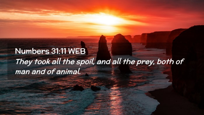 Picture 02 - Numbers 31:11 WEB Desktop Wallpaper - They took all the spoil, and all the prey, both - Desktop Bible Verse Wallpaper