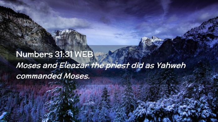 Picture 02 - Numbers 31:31 WEB Desktop Wallpaper - Moses and Eleazar the priest did as Yahweh - Desktop Bible Verse Wallpaper