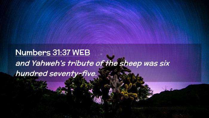 Picture 02 - Numbers 31:37 WEB Desktop Wallpaper - and Yahweh's tribute of the sheep was six hundred - Desktop Bible Verse Wallpaper