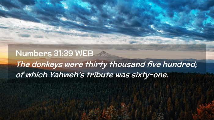 Picture 02 - Numbers 31:39 WEB Desktop Wallpaper - The donkeys were thirty thousand five hundred; of - Desktop Bible Verse Wallpaper