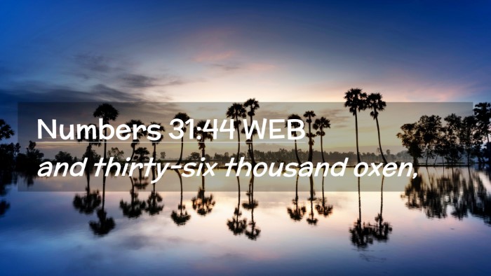 Picture 02 - Numbers 31:44 WEB Desktop Wallpaper - and thirty-six thousand - Desktop Bible Verse Wallpaper