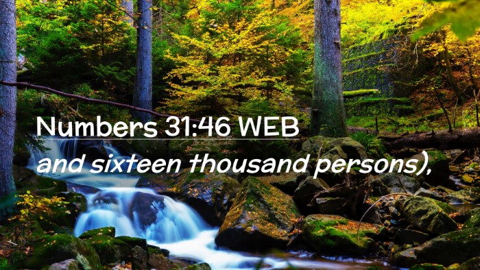 Picture 02 - Numbers 31:46 WEB Desktop Wallpaper - and sixteen thousand - Desktop Bible Verse Wallpaper