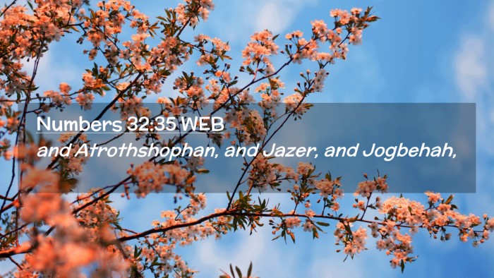 Picture 02 - Numbers 32:35 WEB Desktop Wallpaper - and Atrothshophan, and Jazer, and - Desktop Bible Verse Wallpaper