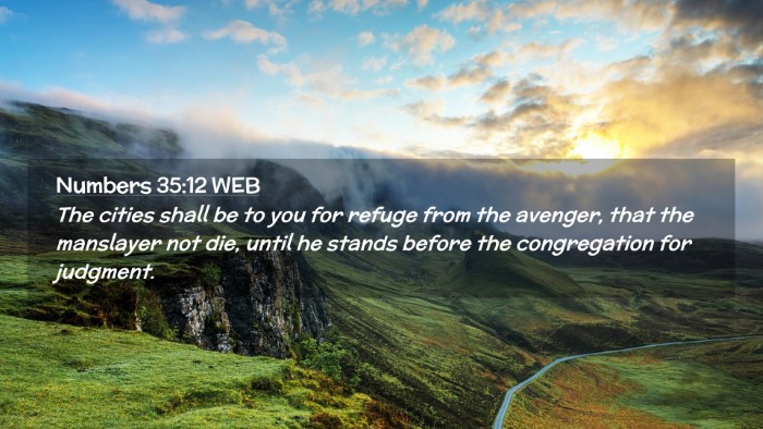 Picture 02 - Numbers 35:12 WEB Desktop Wallpaper - The cities shall be to you for refuge from the - Desktop Bible Verse Wallpaper