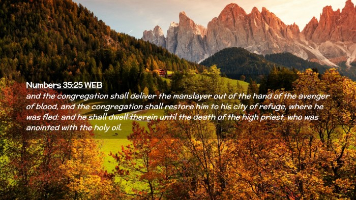 Picture 02 - Numbers 35:25 WEB Desktop Wallpaper - and the congregation shall deliver the manslayer - Desktop Bible Verse Wallpaper