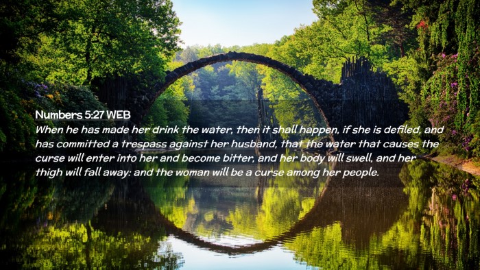 Picture 02 - Numbers 5:27 WEB Desktop Wallpaper - When he has made her drink the water, then it - Desktop Bible Verse Wallpaper