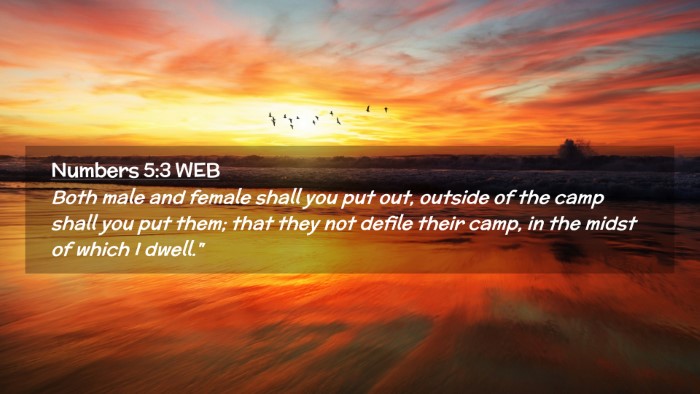 Picture 02 - Numbers 5:3 WEB Desktop Wallpaper - Both male and female shall you put out, outside - Desktop Bible Verse Wallpaper