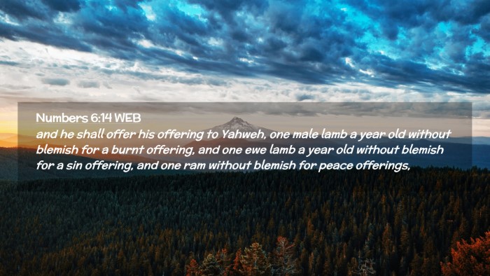 Picture 02 - Numbers 6:14 WEB Desktop Wallpaper - and he shall offer his offering to Yahweh, one - Desktop Bible Verse Wallpaper