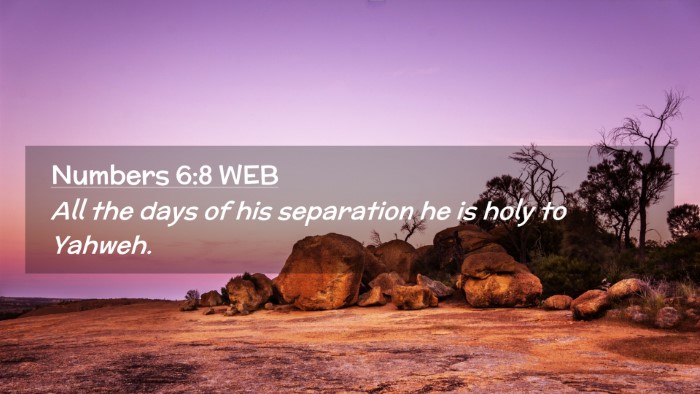 Picture 02 - Numbers 6:8 WEB Desktop Wallpaper - All the days of his separation he is holy to - Desktop Bible Verse Wallpaper